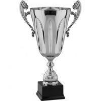 trofeo-cm-48-champions (1)